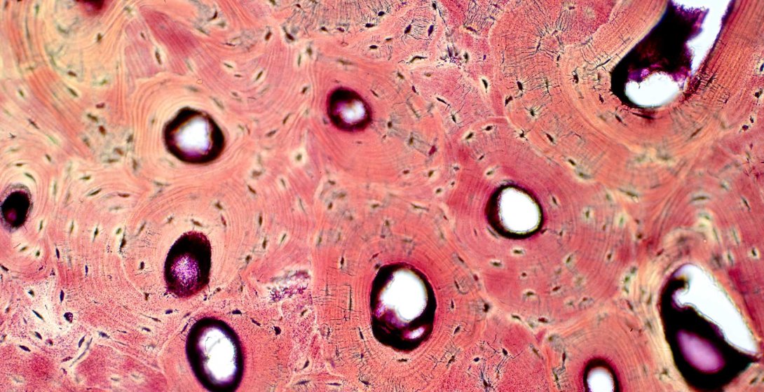 shutterstock 1365236543